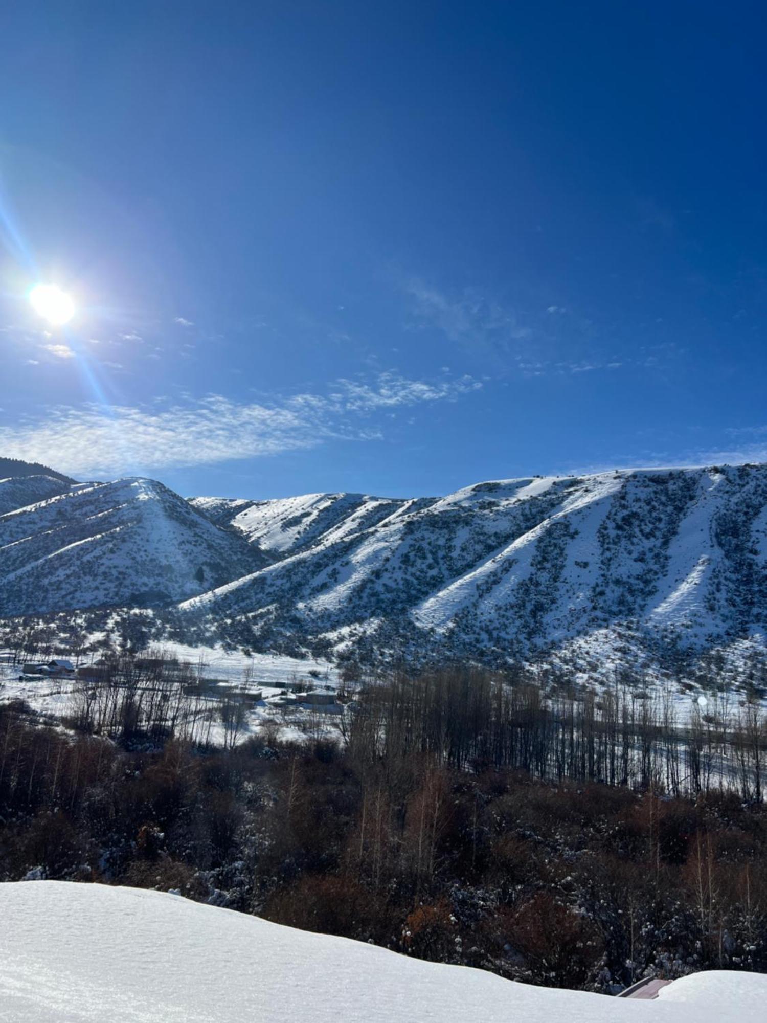 Ozon Guest House Karakol Exterior photo